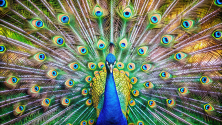 Similar image 22300153