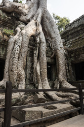 Similar image 22298493