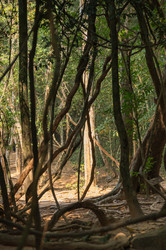 Similar image 22298505