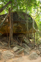 Similar image 22298506