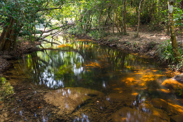 Similar image 22298507