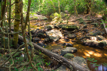 Similar image 22298508