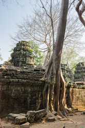 Similar image 22298515