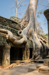 Similar image 22298516