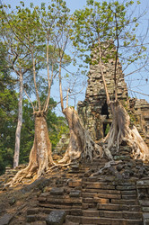 Similar image 22298800