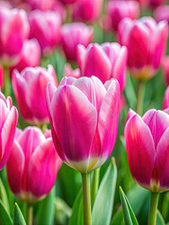 Similar image 22299579