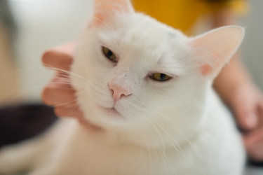 Similar image 22292580