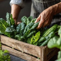 Similar image 22297681