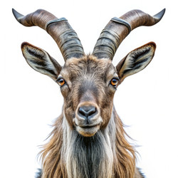 Similar image 22299898