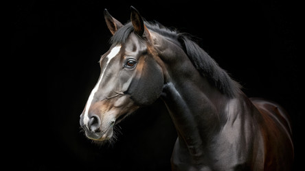 Similar image 22299899