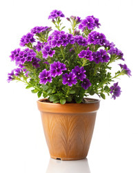 Similar image 22320248