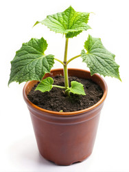 Similar image 22325463