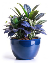 Similar image 22326883