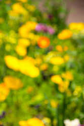 Similar image 22298379