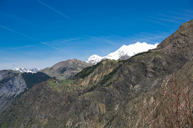 Similar image 22298382