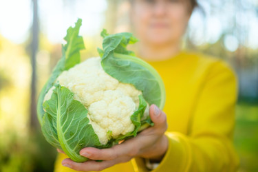 Similar image 22292586