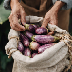 Similar image 22297732