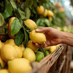 Similar image 22297743