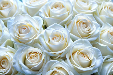 Similar image 22299918