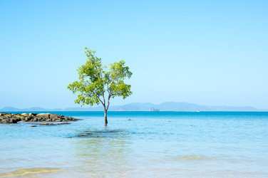 Similar image 22298554