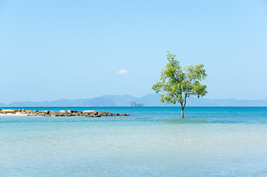 Similar image 22298802