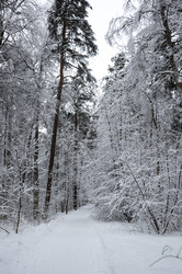 Similar image 22298835