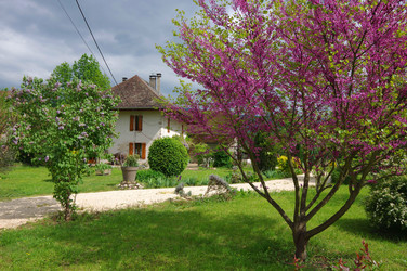 Similar image 22298848