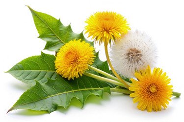 Similar image 22299931