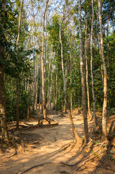 Similar image 22298391