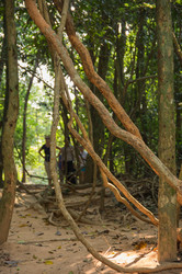 Similar image 22298393