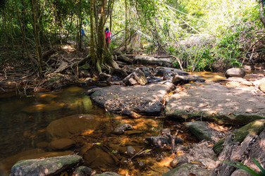 Similar image 22298394