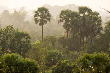 Similar image 22298558