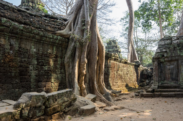 Similar image 22298562