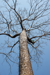 Similar image 22298566