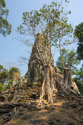 Similar image 22298569