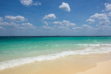 Similar image 22298576