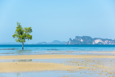 Similar image 22298581