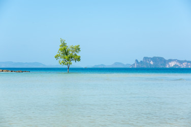 Similar image 22298582