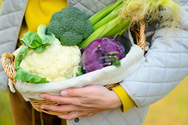 Similar image 22292590