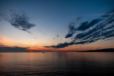 Similar image 22295477