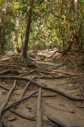 Similar image 22298200