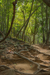 Similar image 22298201