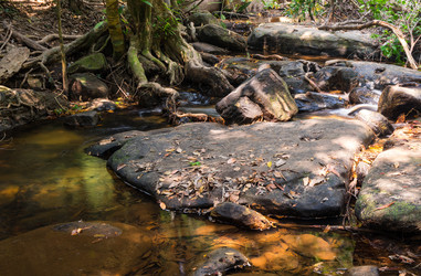 Similar image 22298399