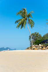 Similar image 22298611