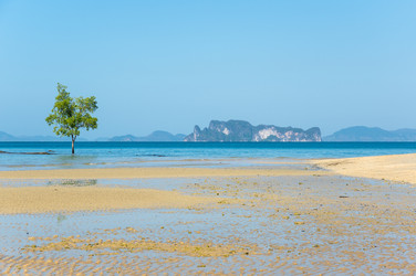 Similar image 22298612