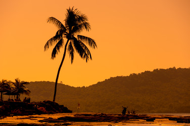 Similar image 22298872