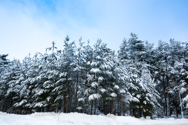 Similar image 22298884