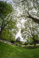 Similar image 22299069