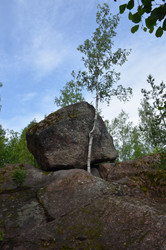 Similar image 22291121