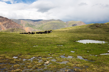 Similar image 22299022